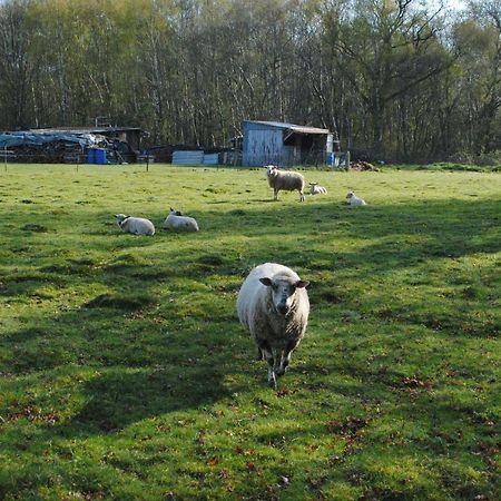 Chambres D'Hotes La Tribu Quevreville-la-Poterie Luaran gambar