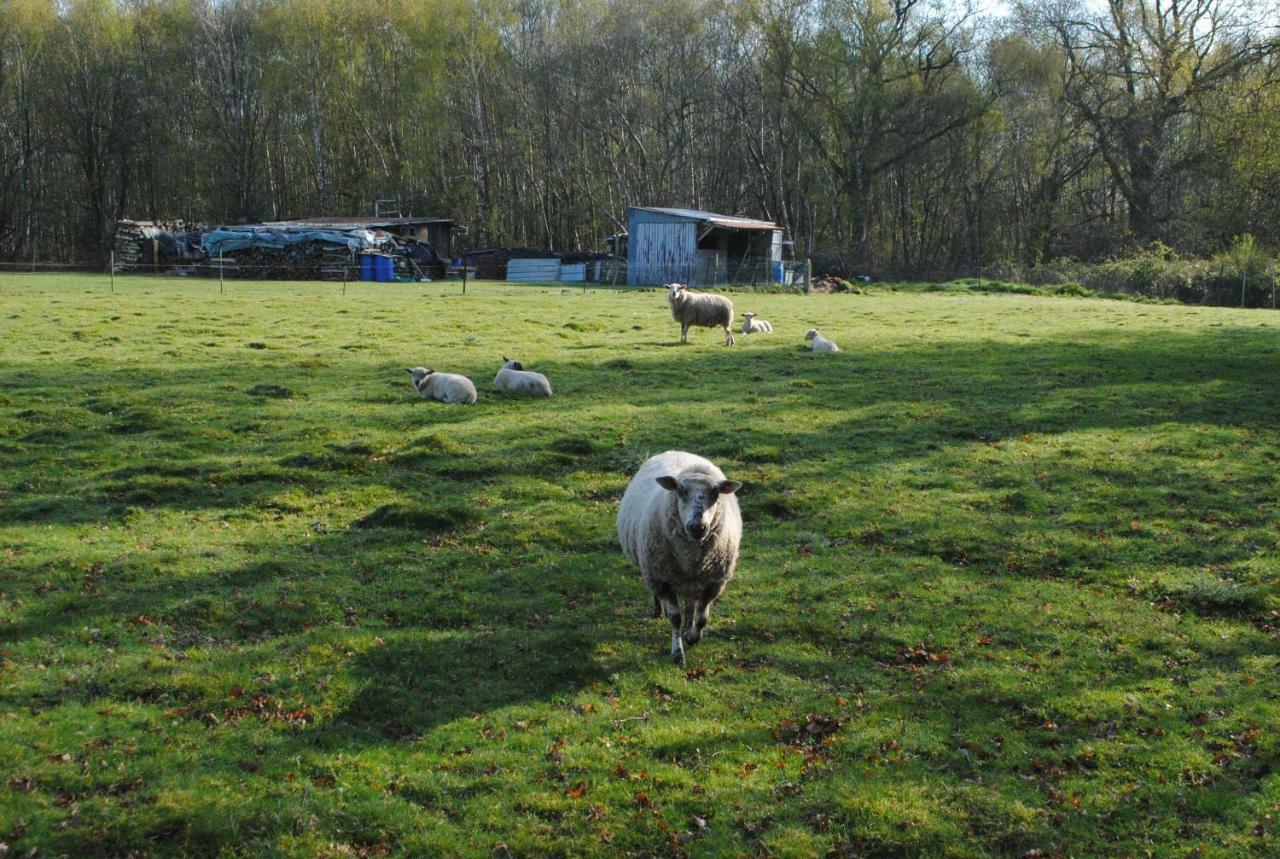 Chambres D'Hotes La Tribu Quevreville-la-Poterie Luaran gambar